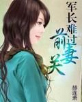 军长难过前妻关的